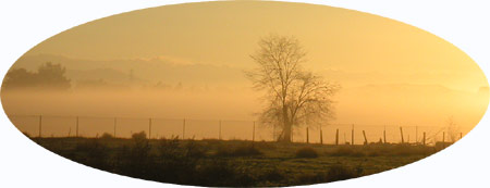 Fog rising on the way to work...