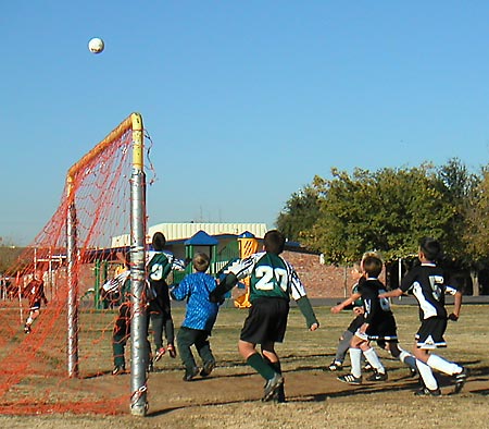 That little goalie in blue is about to 'sky' and get that ball...