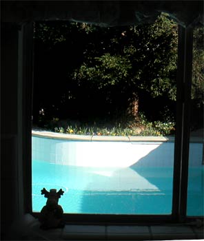 Looking over the pool...