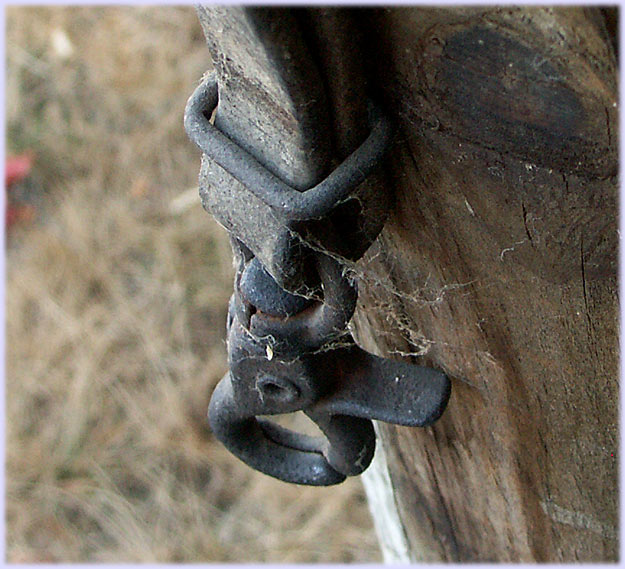 Hitching post strap...