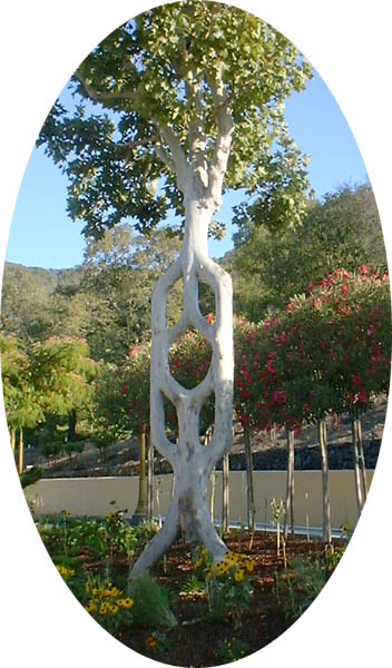 The Emblem tree